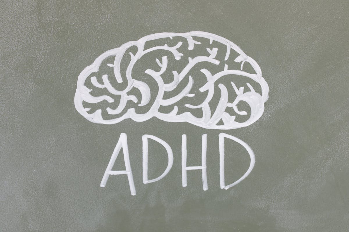 Elderly person engaged in cognitive activities representing brain health and memory research