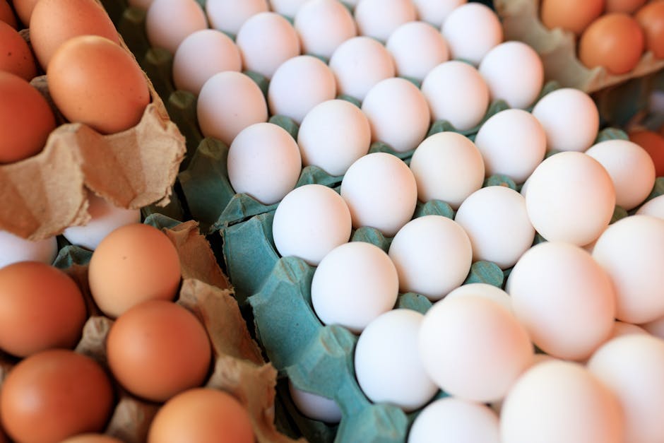 Biotin (Vitamin B7) Deficiency Signs and Best Food Sources: USDA FDC Data 2026