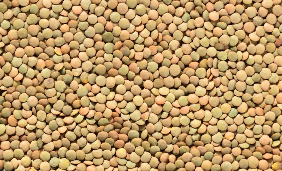 Iron-Rich Foods: What USDA Data Says About Anemia, Heme vs Non-Heme