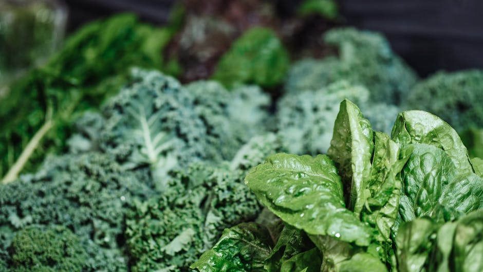 Lutein and Zeaxanthin: Eye-Health Carotenoids Decoded with USDA FoodData Central