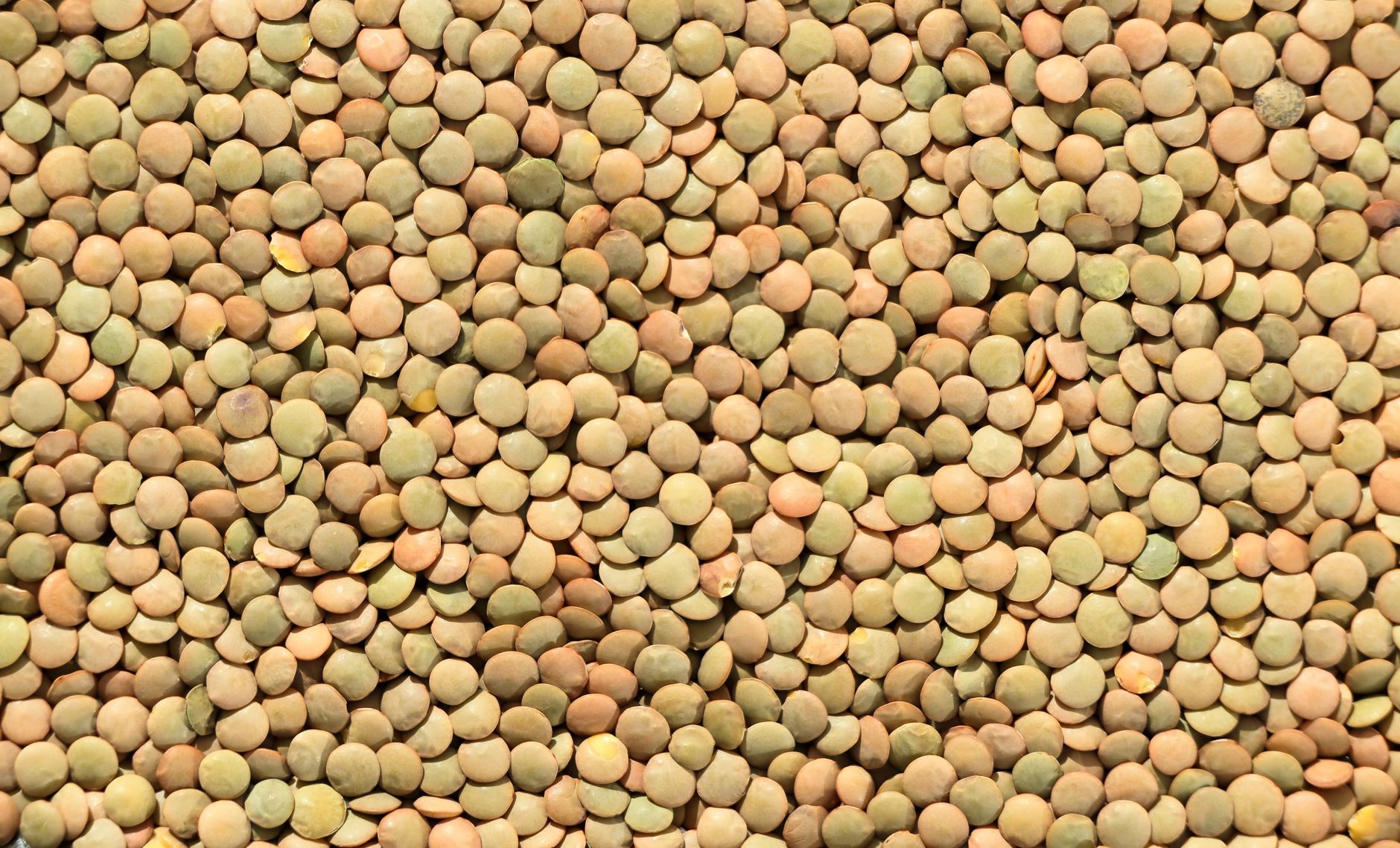 Molybdenum-Rich Foods: The Forgotten Trace Mineral in USDA FDC Data (2026)