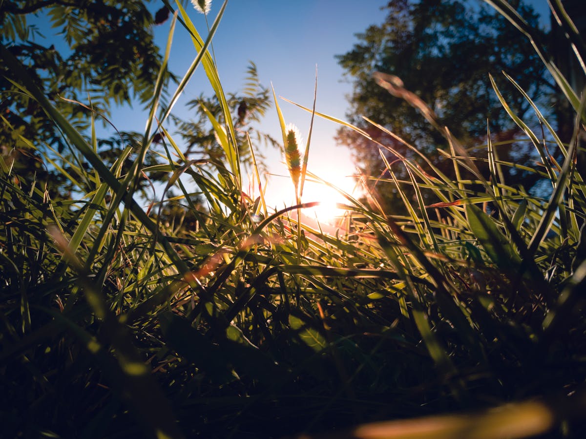 Vitamin D Deficiency: Warning Signs, Risk Factors, and Evidence-Based Solutions