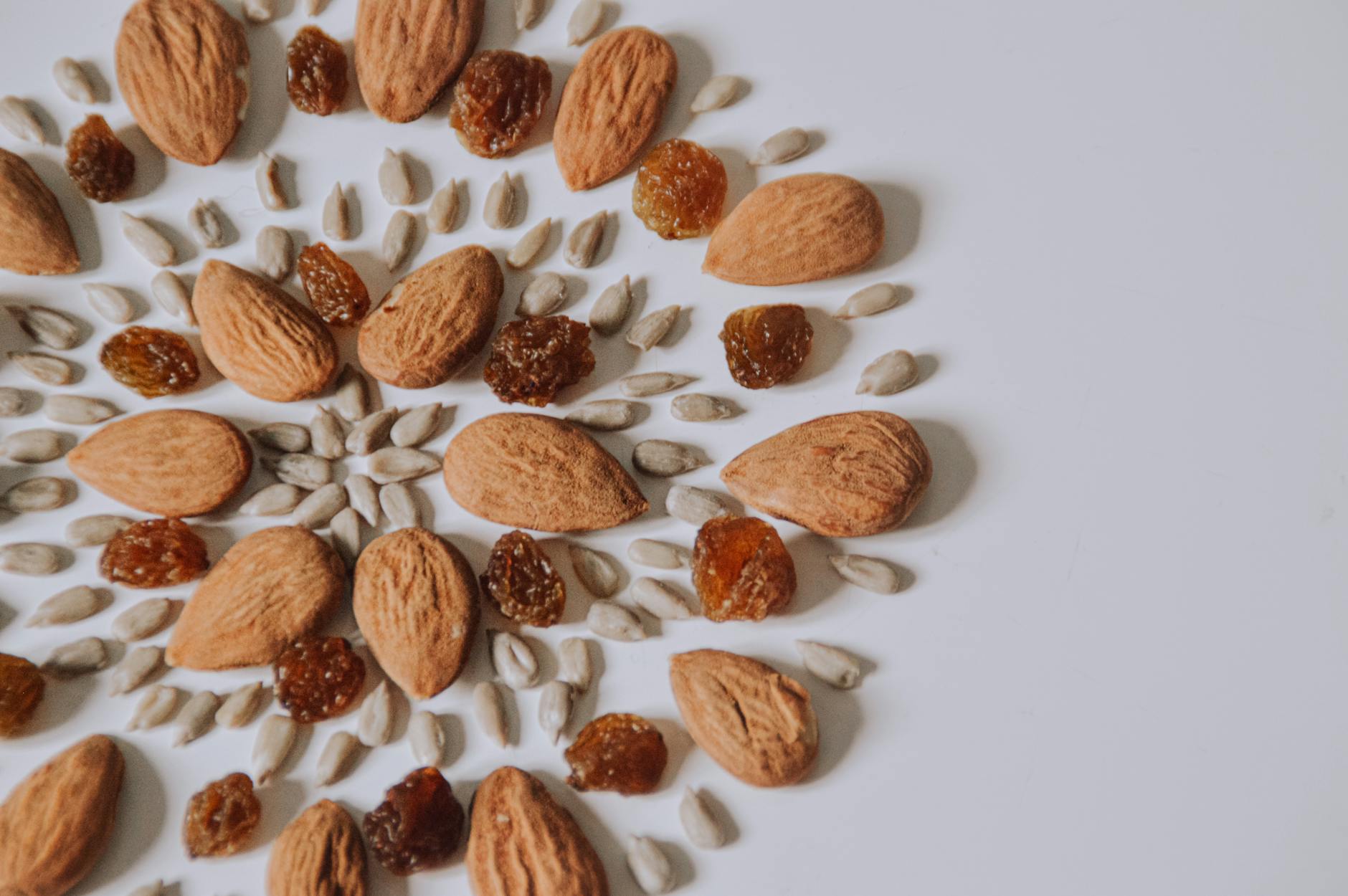 Vitamin E (Alpha vs Gamma Tocopherol): What USDA FoodData Central Reveals About Your Real Intake (2026)
