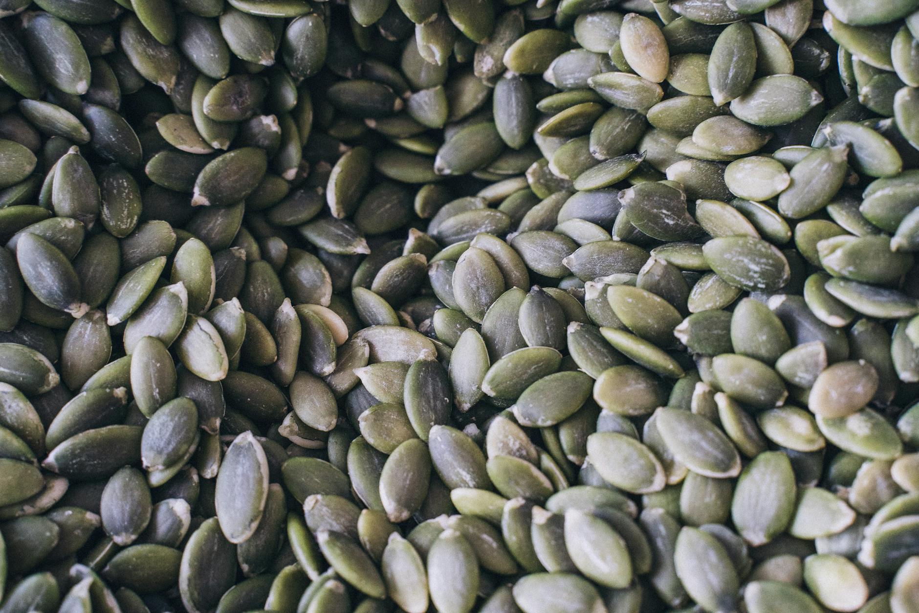 Zinc Deficiency and Your Immune System: What USDA FoodData Central Data Reveals About the Most Overlooked Mineral